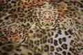 Silke chiffon me•d leopard print - 20g/m2