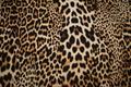Silke/viskose med print - leopard 60 g/m2