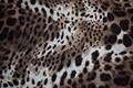 Matt lycra med leopard print - Beige, brun, sort, offwhite mm.