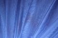 Polyester chiffon - coboltblå