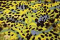 Engelsk lycra med print  - leopard
